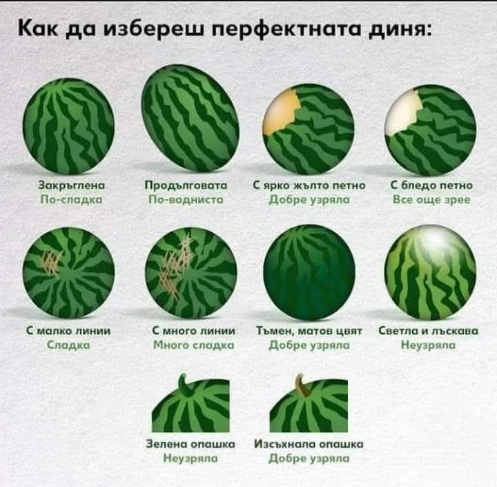Как да изберем най-сладката диня: изпитани трикове за летния плод