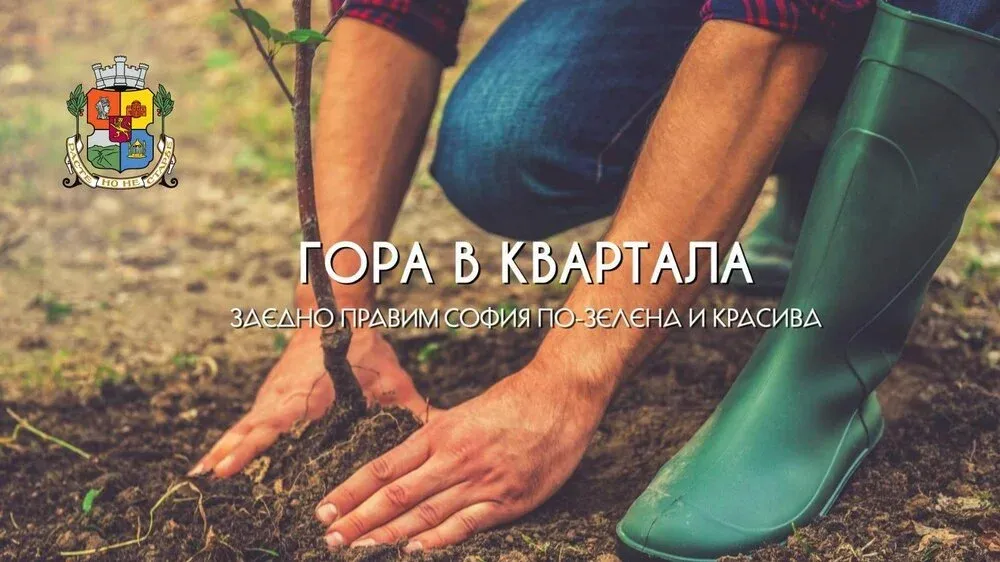 Столична община призовава: Създайте своя Гора в квартала!, снимка 1
