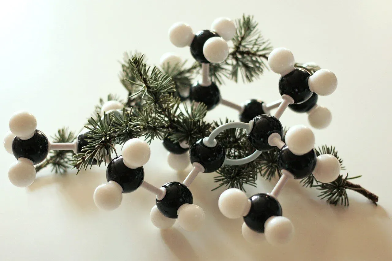 Германия си осигури зелен водород от Египет, снимка 1