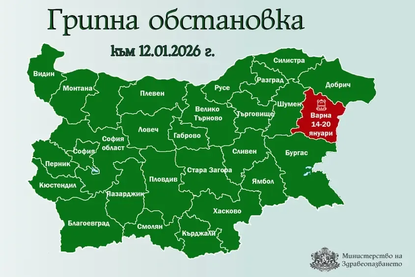 Варна първа в страната обяви грипна епидемия и преустанови учебния процес, снимка 1