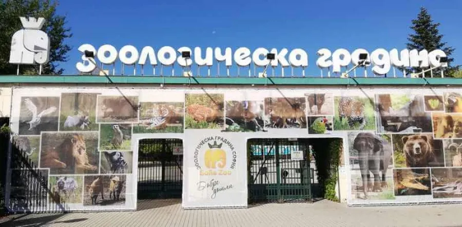 Безсрочен протест в Софийския зоопарк от 31 октомври, снимка 1