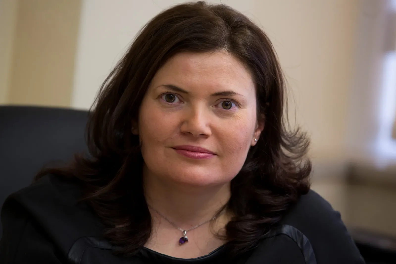 14 НПО поискаха оставката на шефа на пътната агенция, снимка 1