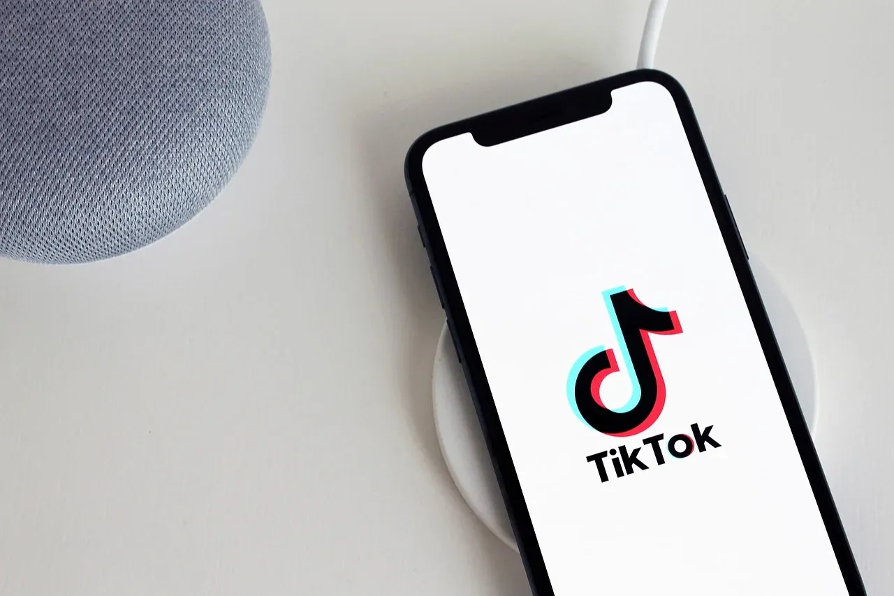 Европейската комисия поставя ултиматум на TikTok заради намеса в румънските избори, снимка 1