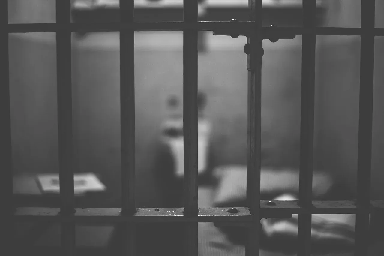 До 5 години затвор за туристка заради расизъм в Рио, снимка 1