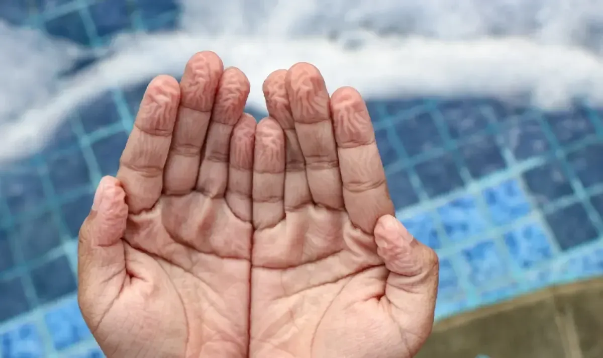 Защо пръстите ни се сбръчкват във водата – учените разкриха причината, снимка 1