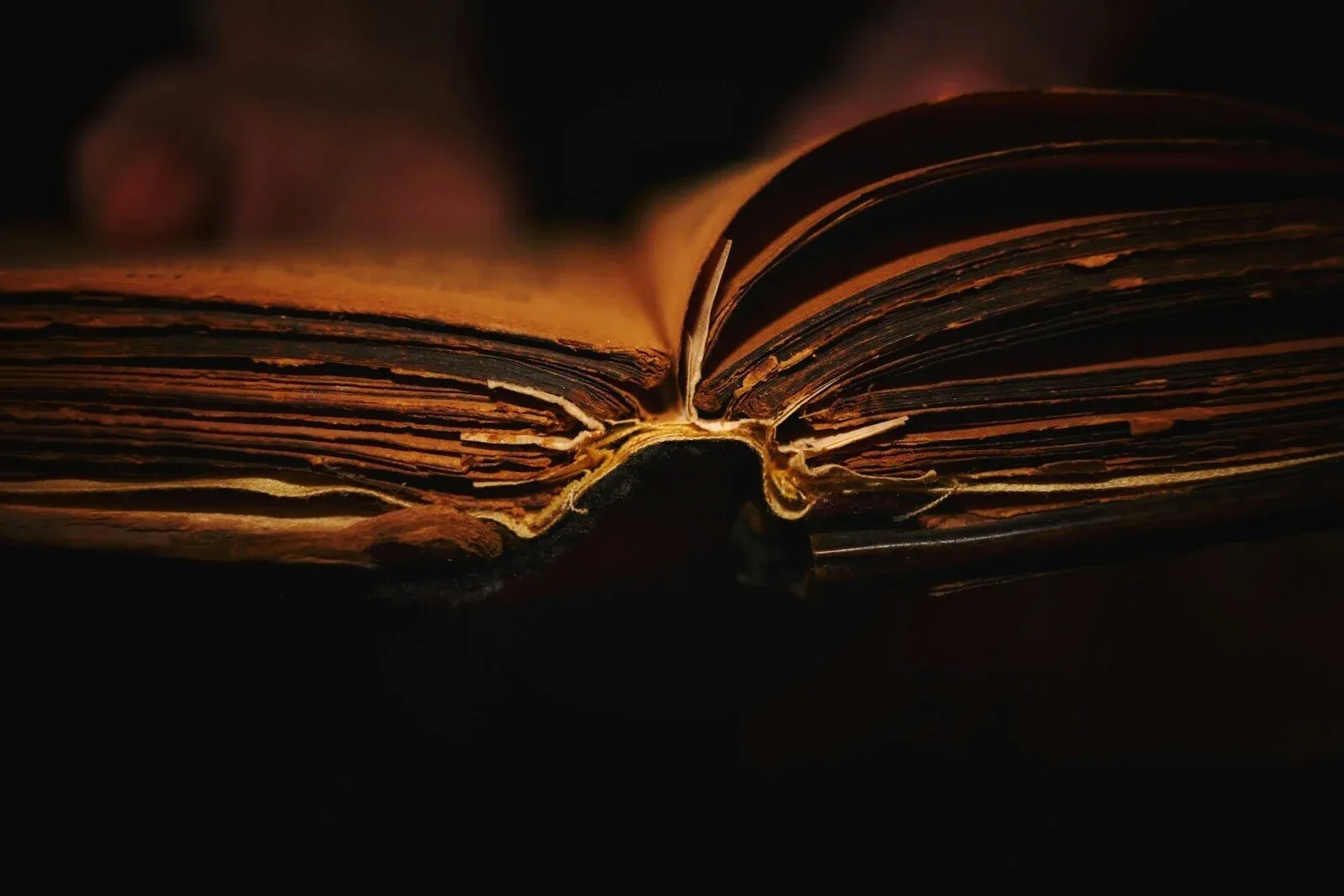 Книга, заета от библиотека беше върната с 84 години закъснение, снимка 1